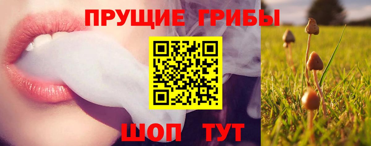 Псилоцибиновые грибы MAGIC MUSHROOMS Кстово